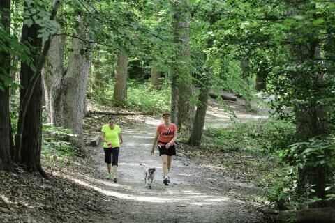 Burke lake loop trail